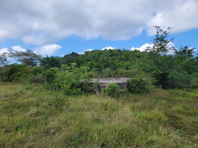 Development Land (Residential) For Sale in Jackson Town, Trelawny Jamaica | [3]