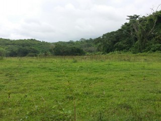 Commercial/farm land For Sale - Rock River, Clarendon, Jamaica