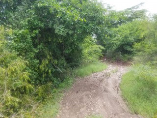 Residential lot For Sale in Clarendon, Clarendon Jamaica | [2]