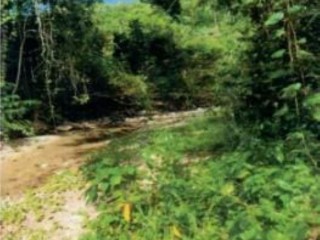 2 bed House For Sale - Hermon Hill Pen, St. Mary, Jamaica