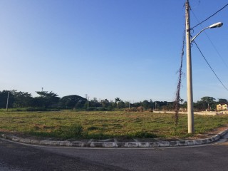 Residential lot For Sale in Paradise, Westmoreland Jamaica | [3]
