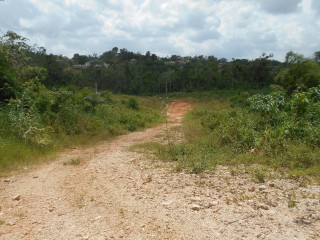 Land For Sale - Rosewell, Clarendon, Jamaica