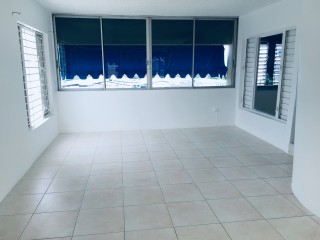Apartment For Rent in Gallery Apartments, Kingston / St. Andrew Jamaica | [1]