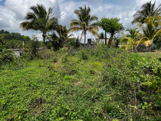 Land For Sale – Bethel Town, Westmoreland, Jamaica