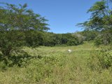 Commercial/farm land For Sale in Rock River, Clarendon Jamaica | [4]