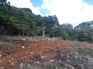 Land For Sale in Christiana, Manchester, Jamaica