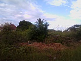Residential lot For Sale in Mews Avenue Willowdene, St. Catherine Jamaica | [3]