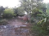 House For Sale in Denbigh, Clarendon Jamaica | [6]
