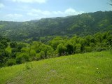  For Sale in Morgans Valley, Clarendon Jamaica | [1]