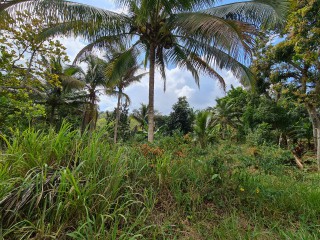 Commercial/farm land For Sale in Bog Walk, St. Catherine, Jamaica