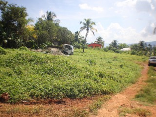 Residential lot For Sale in Middle Quarters, St. Elizabeth Jamaica | [2]
