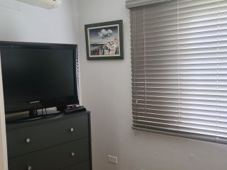 Apartment For Rent in New Kingston, Kingston / St. Andrew Jamaica | [7]