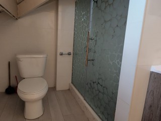 Apartment For Rent in Surbiton Place, Kingston / St. Andrew Jamaica | [9]