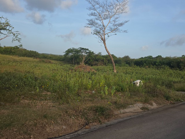 Residential lot For Sale in Sandy Bay, Clarendon Jamaica | [3]