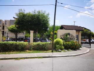 Apartment For Rent in Kingston 6, Kingston / St. Andrew Jamaica | [14]