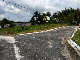 Land For Sale – Bethel Town, Westmoreland, Jamaica