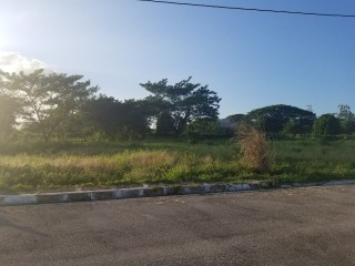 Residential lot For Sale in Paradise, Westmoreland Jamaica | [13]