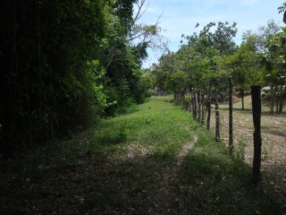 Land For Sale in Brompton, St. Elizabeth, Jamaica
Under Offer