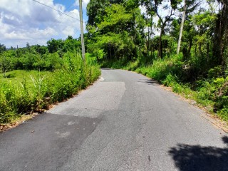 Land For Sale in Seaford Town, Westmoreland, Jamaica