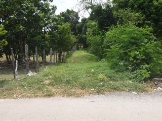 Land For Sale in Brompton, St. Elizabeth, Jamaica
Under Offer