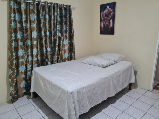 House For Rent in Willowdene, St. Catherine Jamaica | [8]