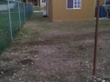 House For Sale in New Harbour Village 2, St. Catherine Jamaica | [1]