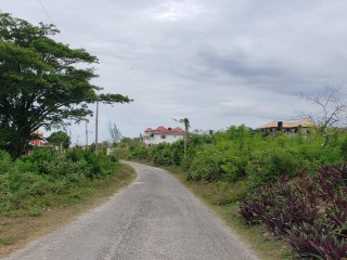 Residential lot For Sale in Boscobel, St. Mary Jamaica | [4]