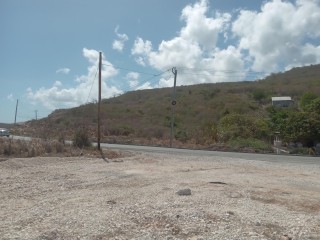 Land For Sale in Botany Bay  White Horses, St. Thomas Jamaica | [4]