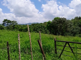 Land For Sale in Seaford Town, Westmoreland Jamaica | [7]