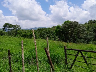 Land For Sale in Seaford Town, Westmoreland, Jamaica