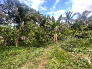 1 bed Commercial/farm land For Sale in Ewarton, St. Catherine, Jamaica