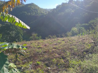 Land For Sale in Charlton Ave, Manchester Jamaica | [2]
