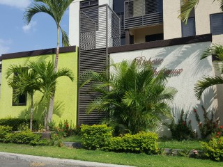 Apartment For Rent in Kingston 10, Kingston / St. Andrew Jamaica | [9]