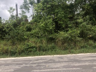 Land For Sale in Negril, Westmoreland, Jamaica