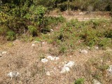 Residential lot For Sale in Albion Estates, Manchester Jamaica | [6]