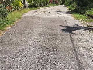 Residential lot For Sale in Cardiff Hall, St. Ann Jamaica | [6]