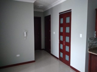 Apartment For Rent in Kingston 6, Kingston / St. Andrew Jamaica | [8]