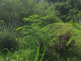 Residential lot For Sale in West Gate Hill Montego Bay, St. James, Jamaica