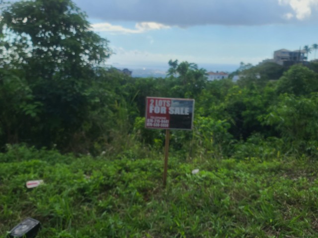 Residential lot For Sale in Chancery Hall, Kingston / St. Andrew Jamaica | [10]