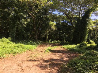 Commercial/farm land For Sale in Bath, St. Thomas Jamaica | [10]