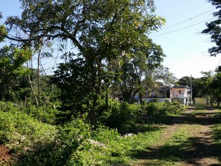 Land For Sale in Jackson Heights, St. Ann Jamaica | [4]