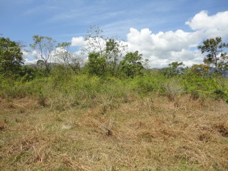 Residential lot For Sale in Blue Mountain Danvers Pen, St. Thomas Jamaica | [3]