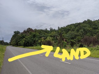 Land For Sale in Hayfield, Portland Jamaica | [2]