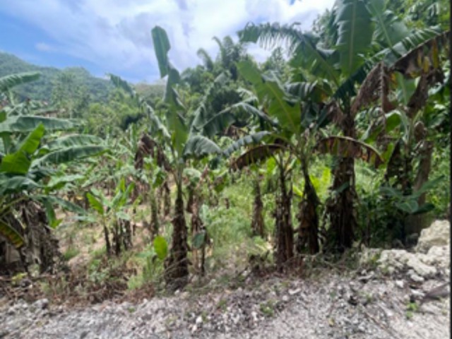 Commercial/farm land For Sale - DRESSIKIE, St. Mary, Jamaica