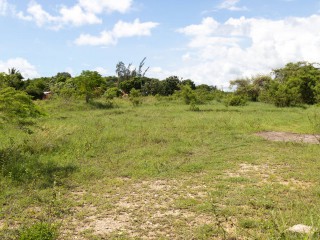 Residential lot For Sale in Twin Palms Estate, Clarendon Jamaica | [4]