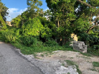 Residential lot For Sale in Salt Spring, St. James Jamaica | [7]