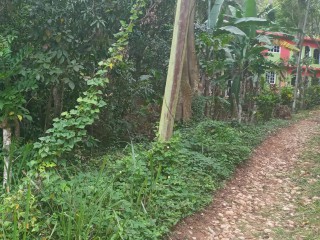 Residential lot For Sale in Red HillsMarveley Mountain, Kingston / St. Andrew, Jamaica