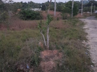 Residential lot For Sale in Above emarld estates in rio nuevo on mango valley road couple minutes of main rd, St. Mary Jamaica | [1]