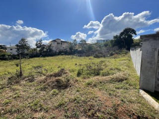 Residential lot For Sale in Cedar Grove, Manchester, Jamaica