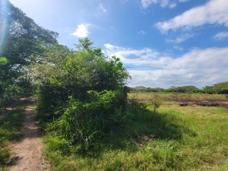 Commercial/farm land For Sale in Old Harbour, St. Catherine, Jamaica